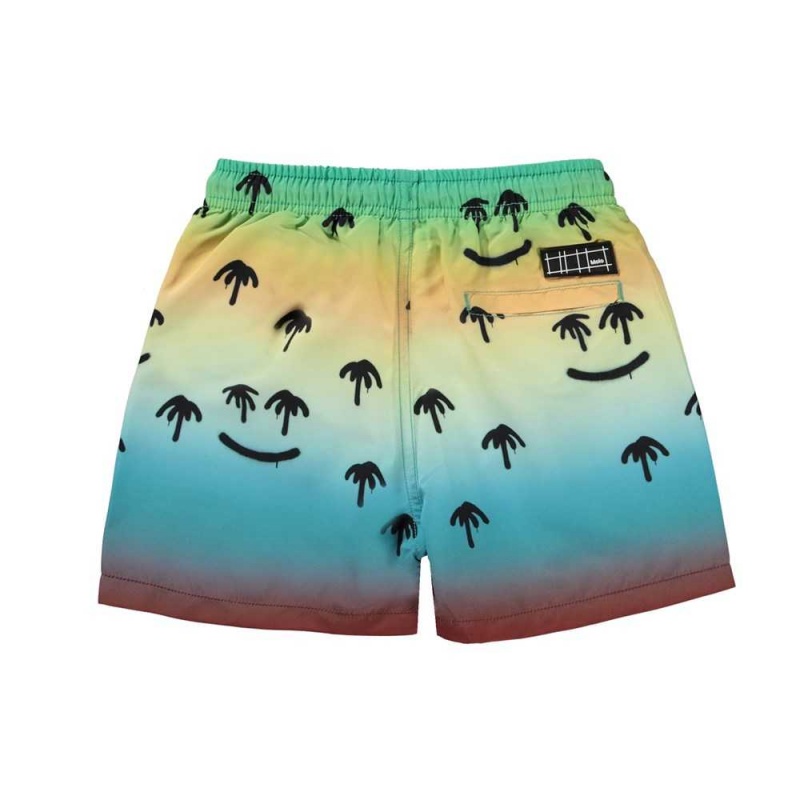 Molo Niko Badeshorts Palm Spray | CH0001117