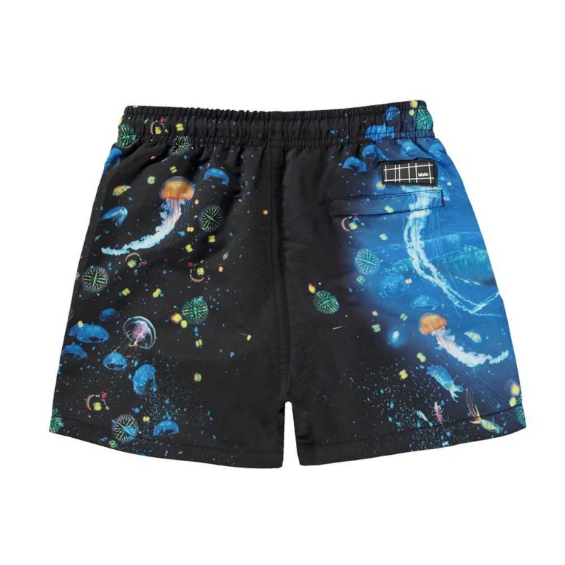 Molo Niko Badeshorts Plankton | CH0001159