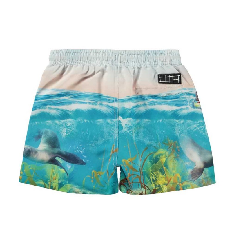 Molo Niko Badeshorts Sealion | CH0001116