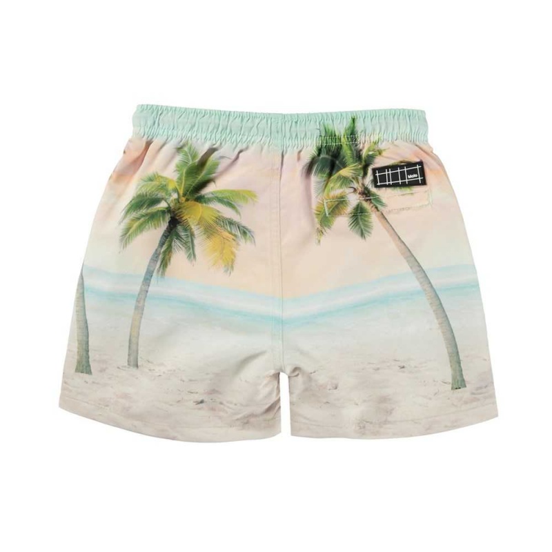 Molo Niko Badeshorts Sunrise Surfer | CH0001120