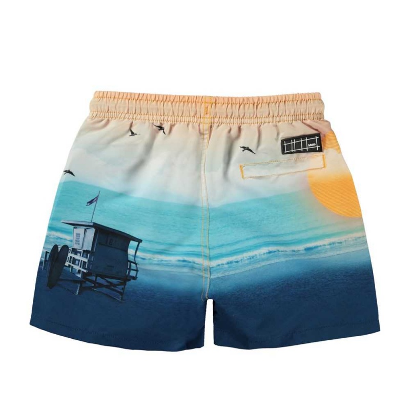 Molo Niko Badeshorts Sunset Beach | CH0001145