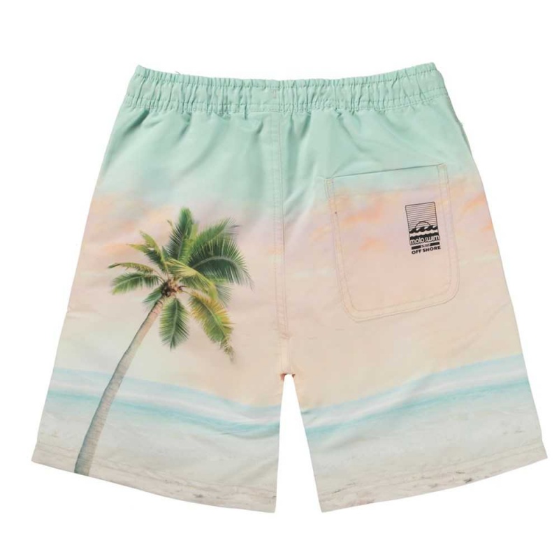 Molo Nilson Badeshorts Sunrise Surfer | CH0001123