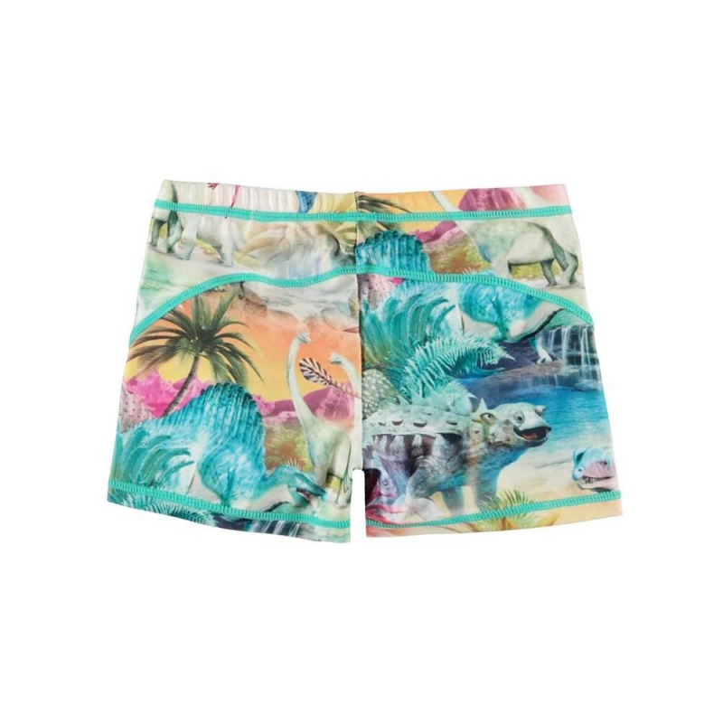 Molo Norton Badeshorts Dino Paradis | CH0001133