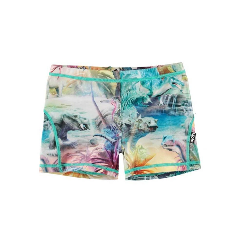 Molo Norton Badeshorts Dino Paradis | CH0001133