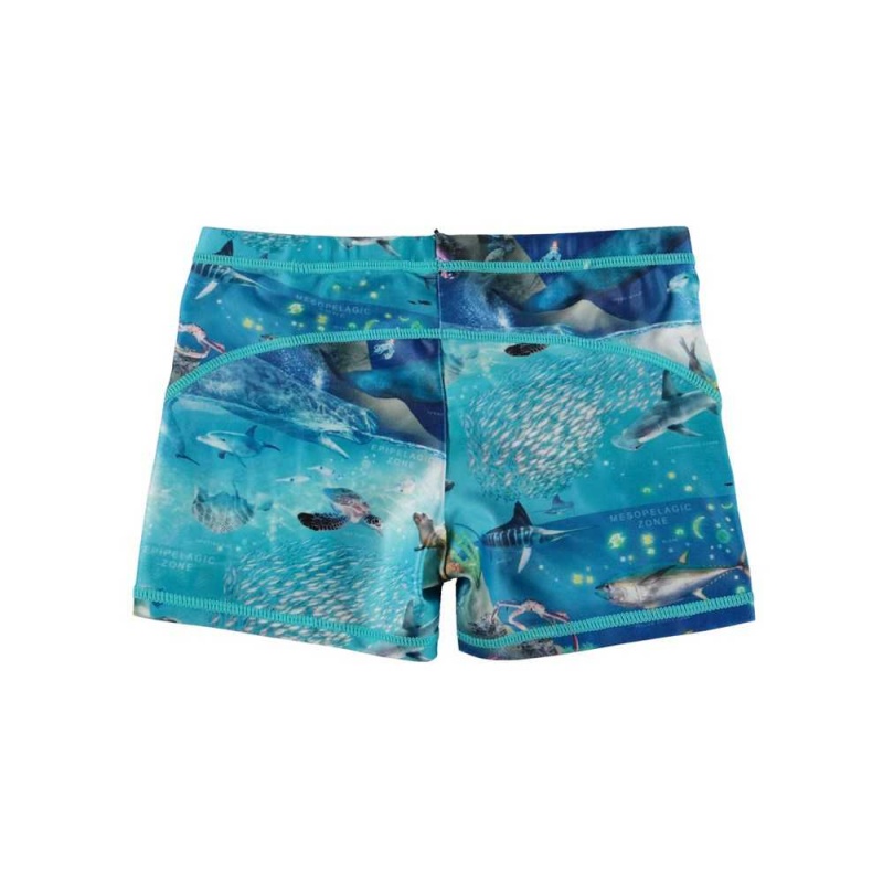 Molo Norton Badeshorts Ocean Zones | CH0001136