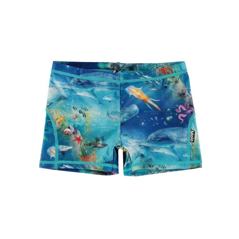 Molo Norton Badeshorts Ocean Zones | CH0001136