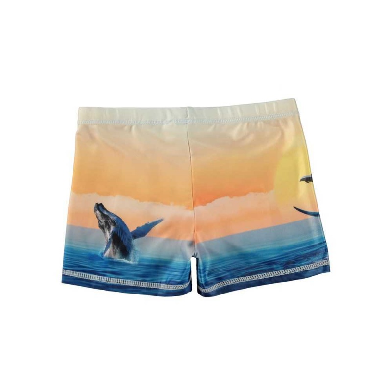 Molo Norton Placed Badeshorts Ocean Smile | CH0001144