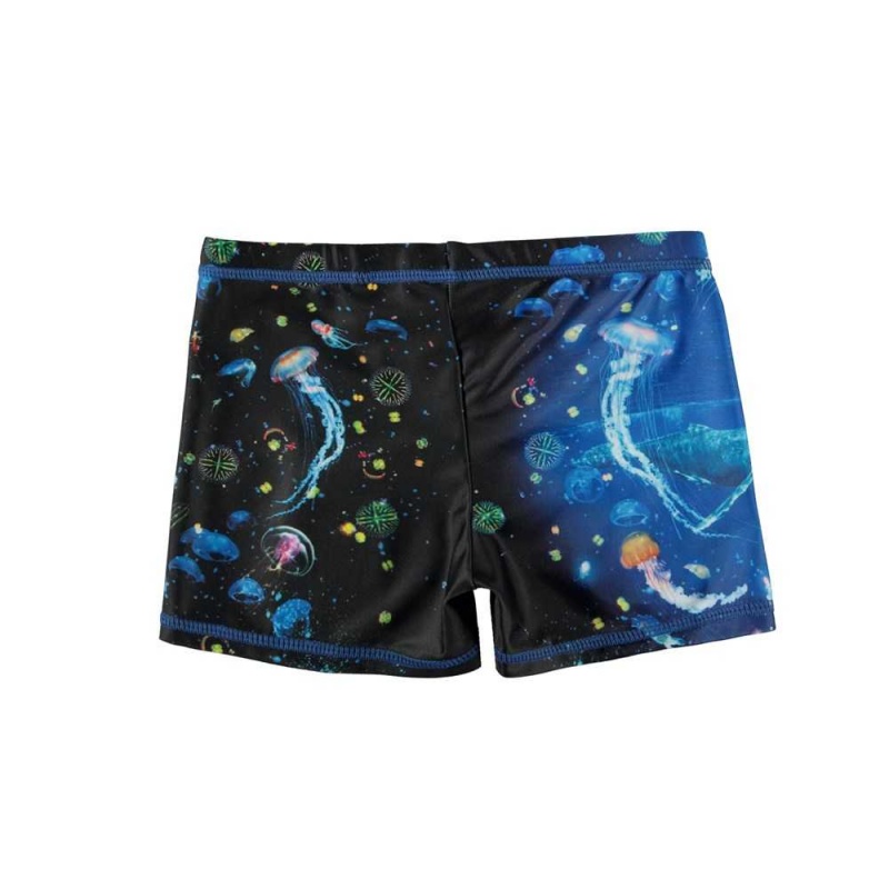 Molo Norton Placed Badeshorts Plankton | CH0001151