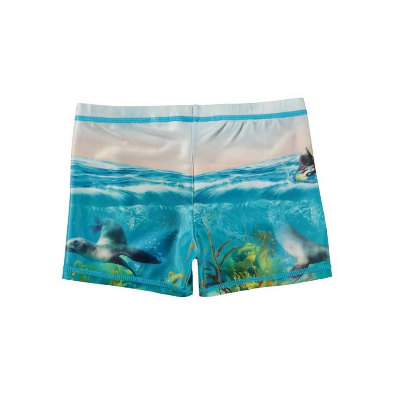 Molo Norton Placed Badeshorts Sealion | CH0001114