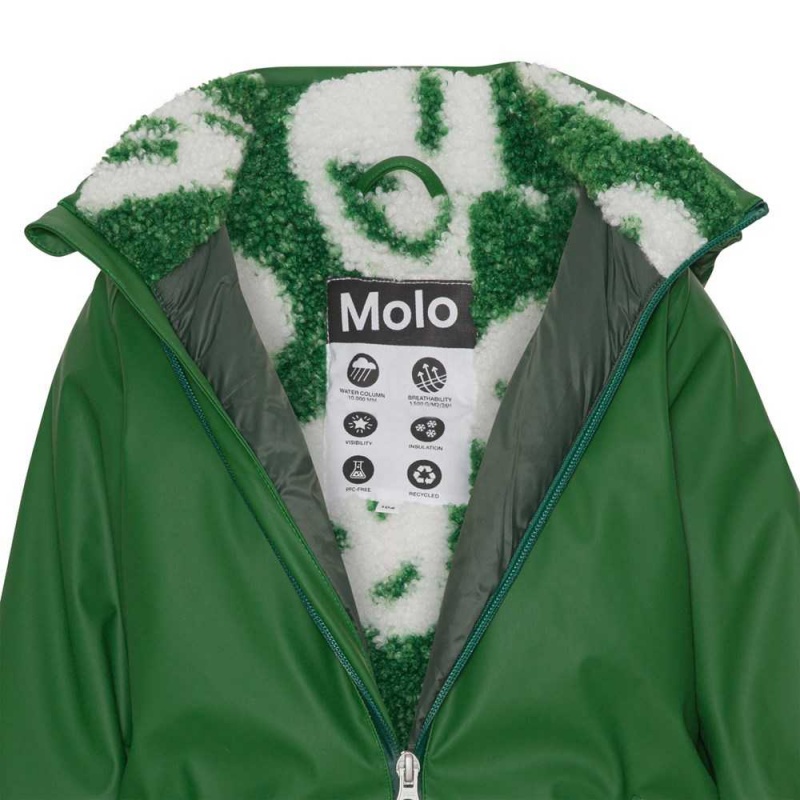 Molo Paco Skibekleidung Woodland Green | CH0000138