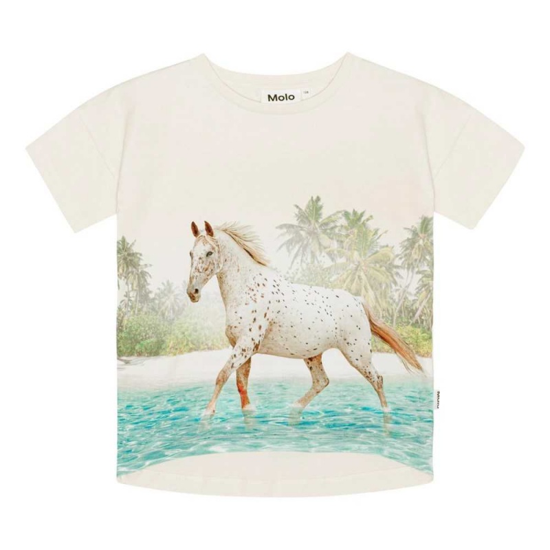 Molo Raeesa T Shirts Tops Mädchen Horse On Beach | CH0000523