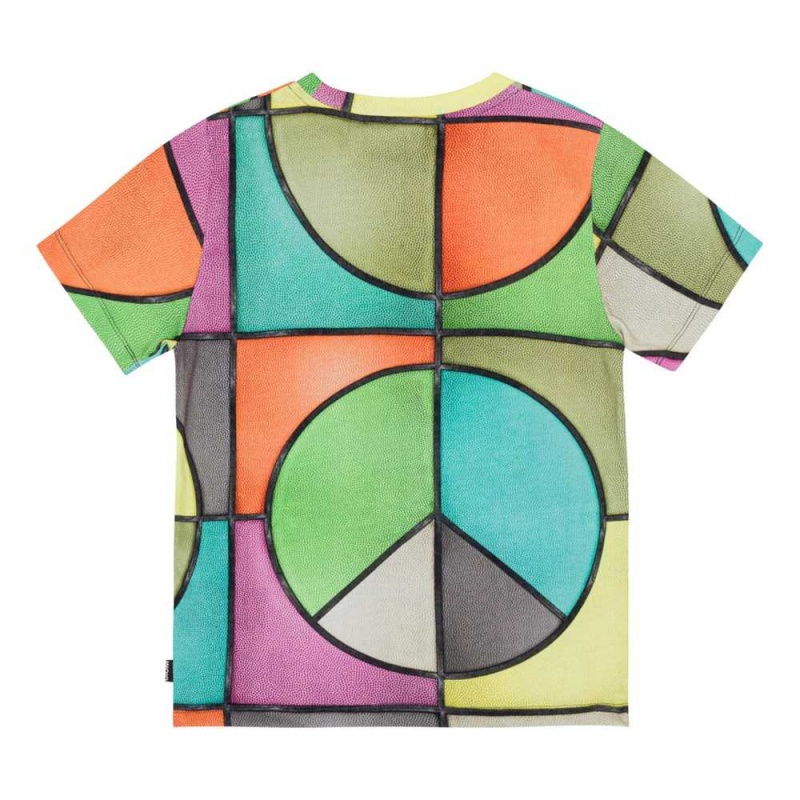 Molo Ralphie T Shirts Tops Jungen Basket Colour | CH0000779