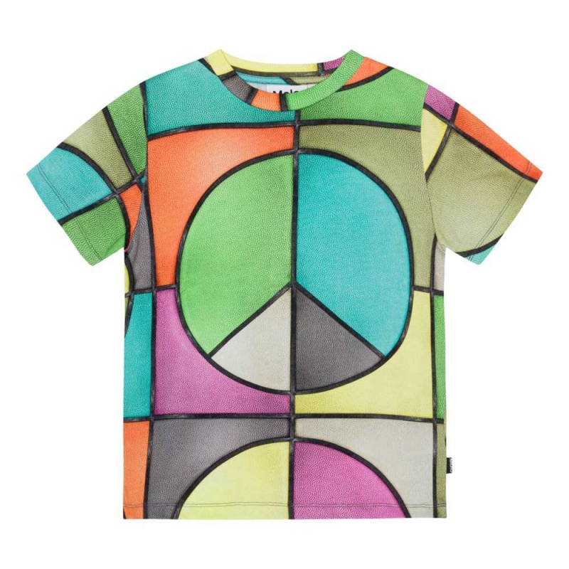 Molo Ralphie T Shirts Tops Jungen Basket Colour | CH0000779