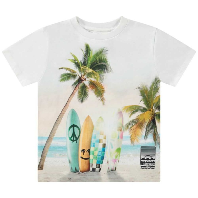 Molo Rame T Shirts Tops Jungen Sunrise Surfer | CH0000774