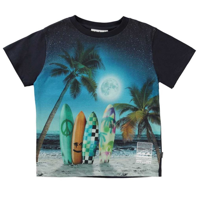 Molo Rame T Shirts Tops Jungen Sunset Surfer | CH0000628