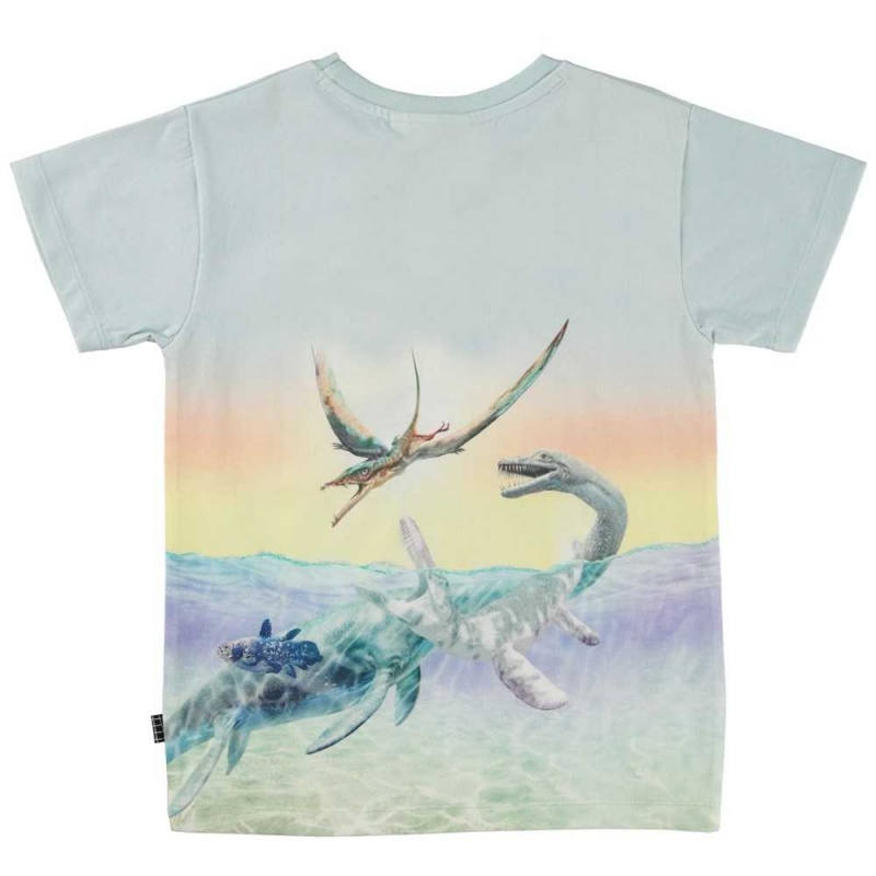 Molo Raul T Shirts Tops Jungen Ancient Island | CH0000630