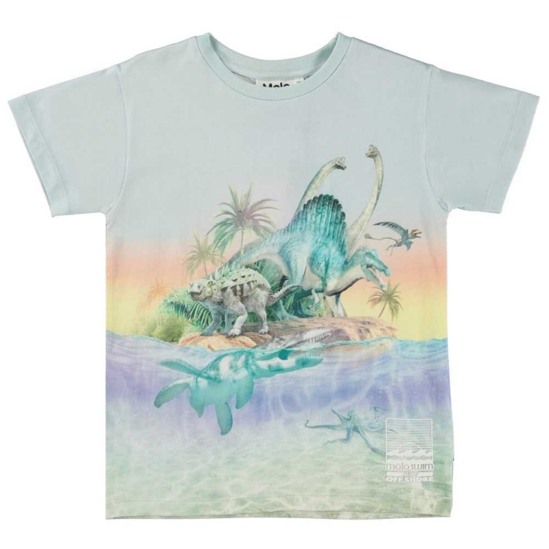 Molo Raul T Shirts Tops Jungen Ancient Island | CH0000630