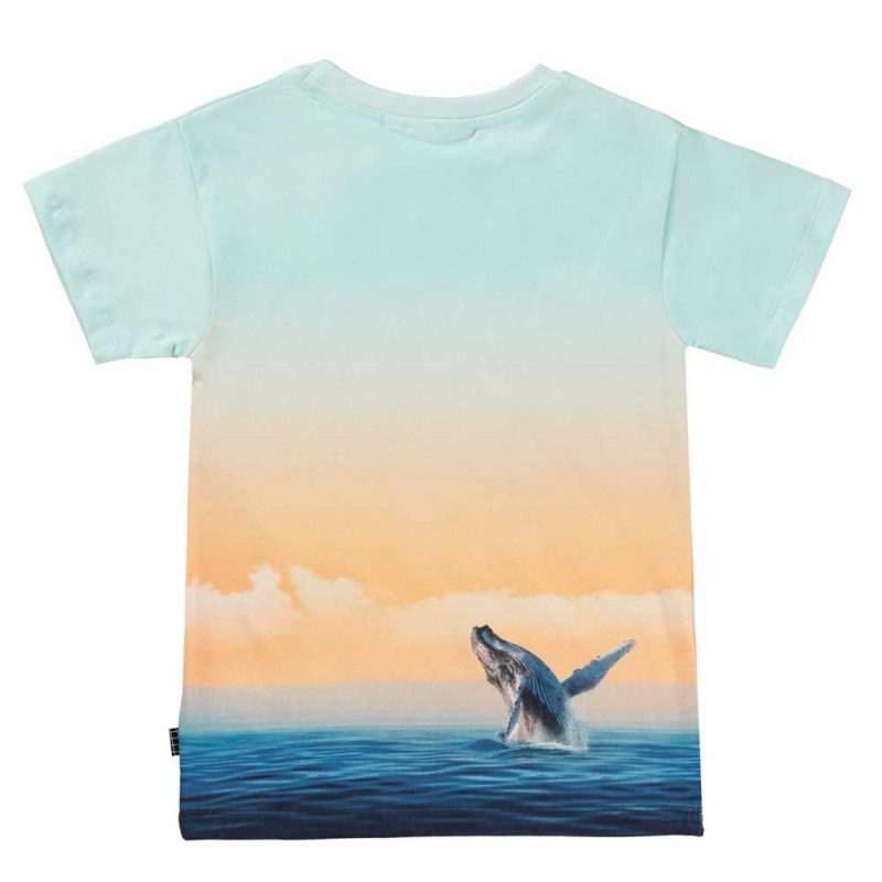 Molo Raul T Shirts Tops Jungen Ocean Smile | CH0000631