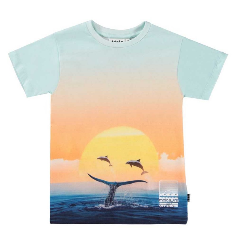 Molo Raul T Shirts Tops Jungen Ocean Smile | CH0000631