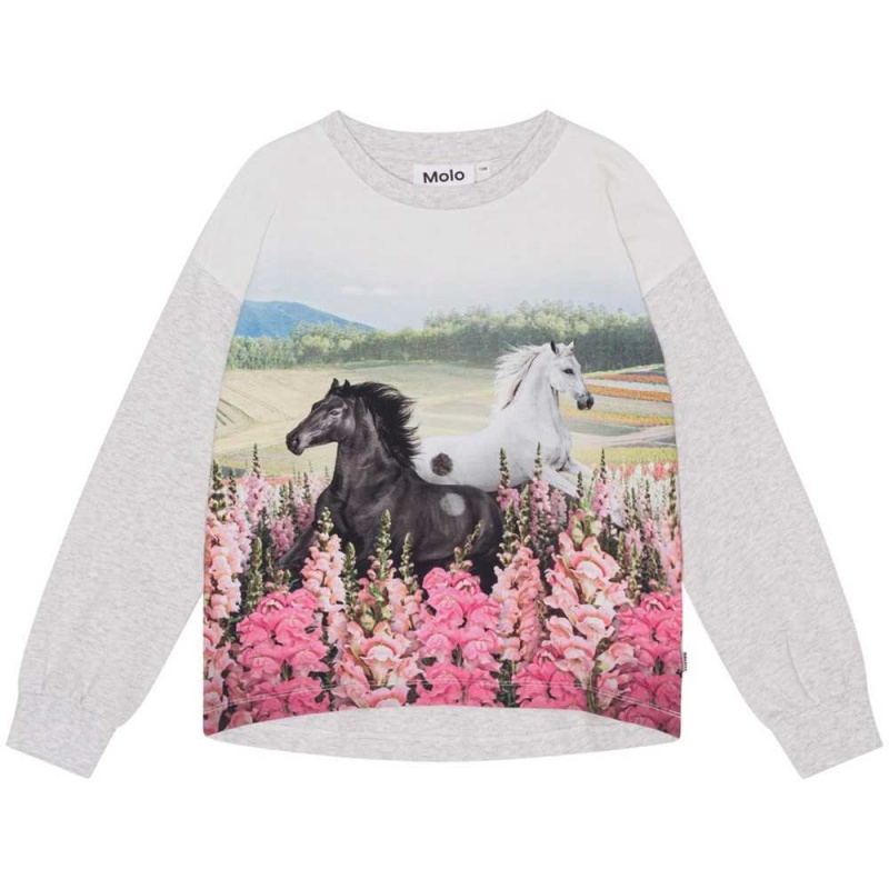 Molo Reniza T Shirts Tops Mädchen Meadow Horses | CH0000573