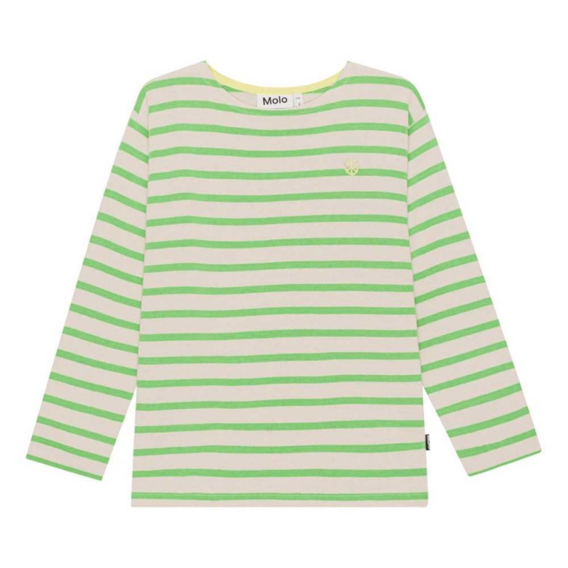 Molo Rilder T Shirts Tops Jungen Grass Stripe | CH0000833