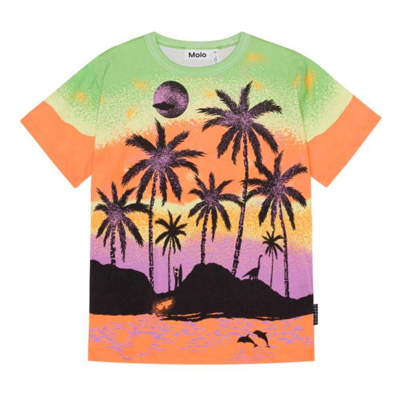 Molo Riley T Shirts Tops Jungen Alien Island | CH0000773