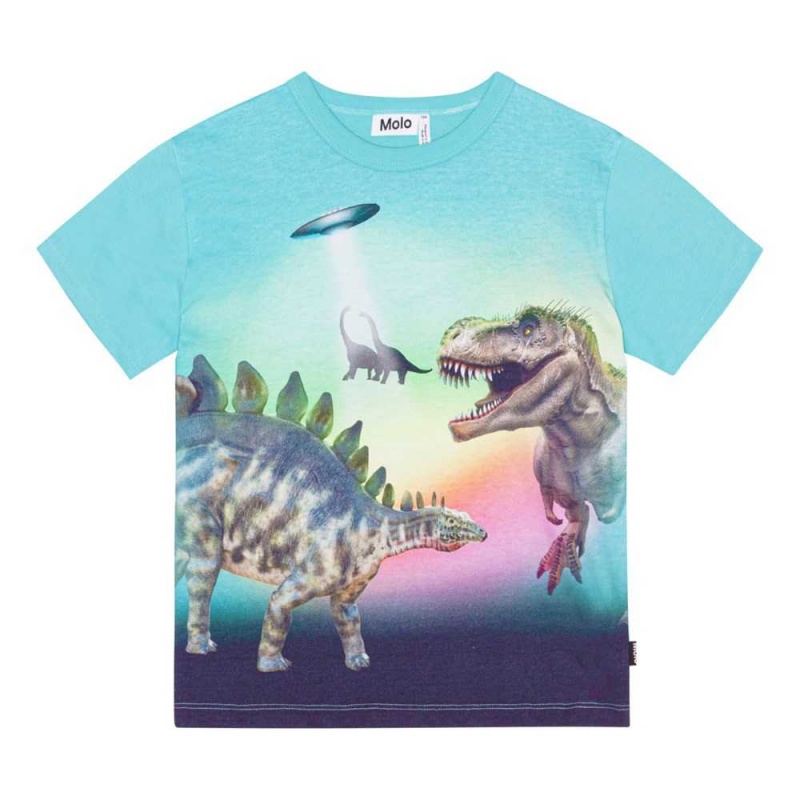 Molo Riley T Shirts Tops Jungen Beaming Dinos | CH0000829