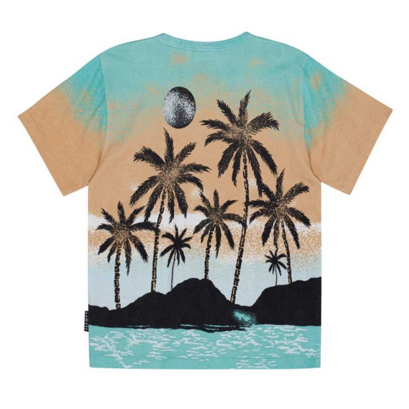 Molo Riley T Shirts Tops Jungen Holiday Island | CH0000778