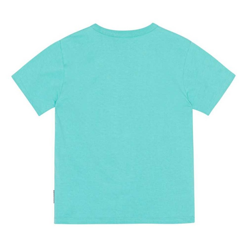 Molo Riley T Shirts Tops Jungen Pacific | CH0000830