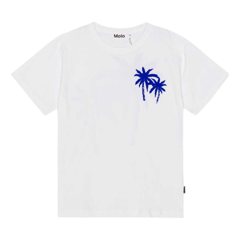 Molo Riley T Shirts Tops Jungen Palmtree Love | CH0000768