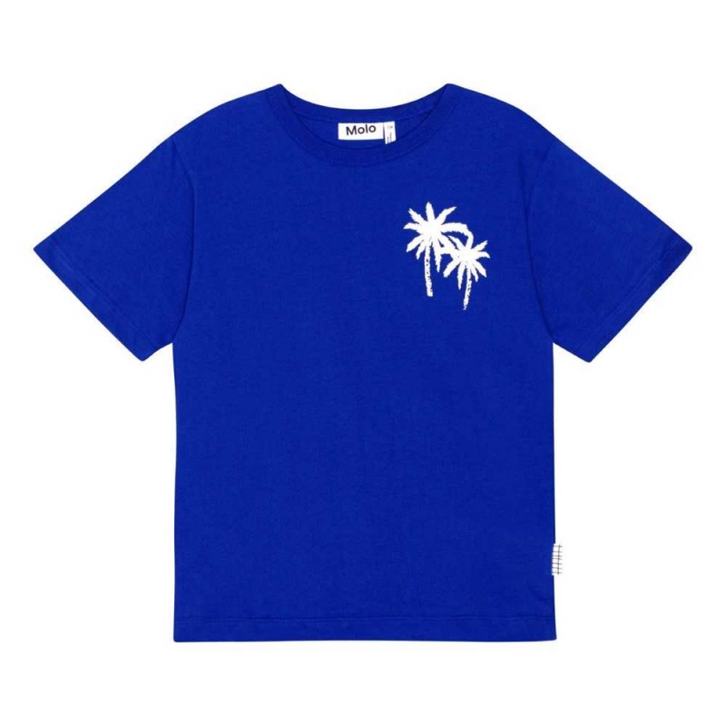 Molo Riley T Shirts Tops Jungen Reef Blue | CH0000770