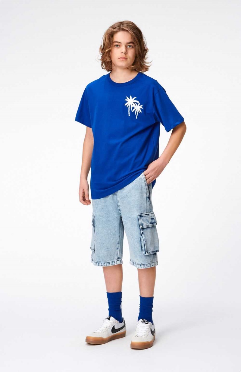 Molo Riley T Shirts Tops Jungen Reef Blue | CH0000770