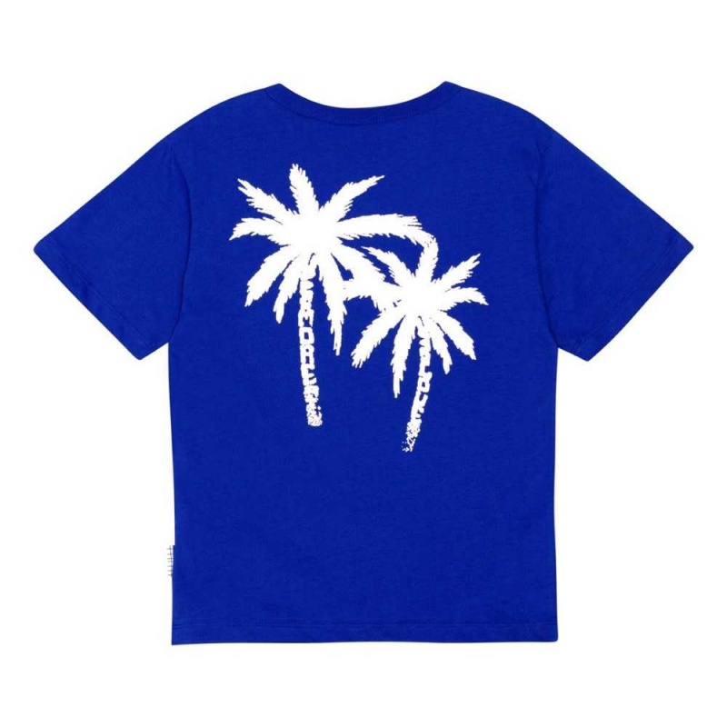 Molo Riley T Shirts Tops Jungen Reef Blue | CH0000770