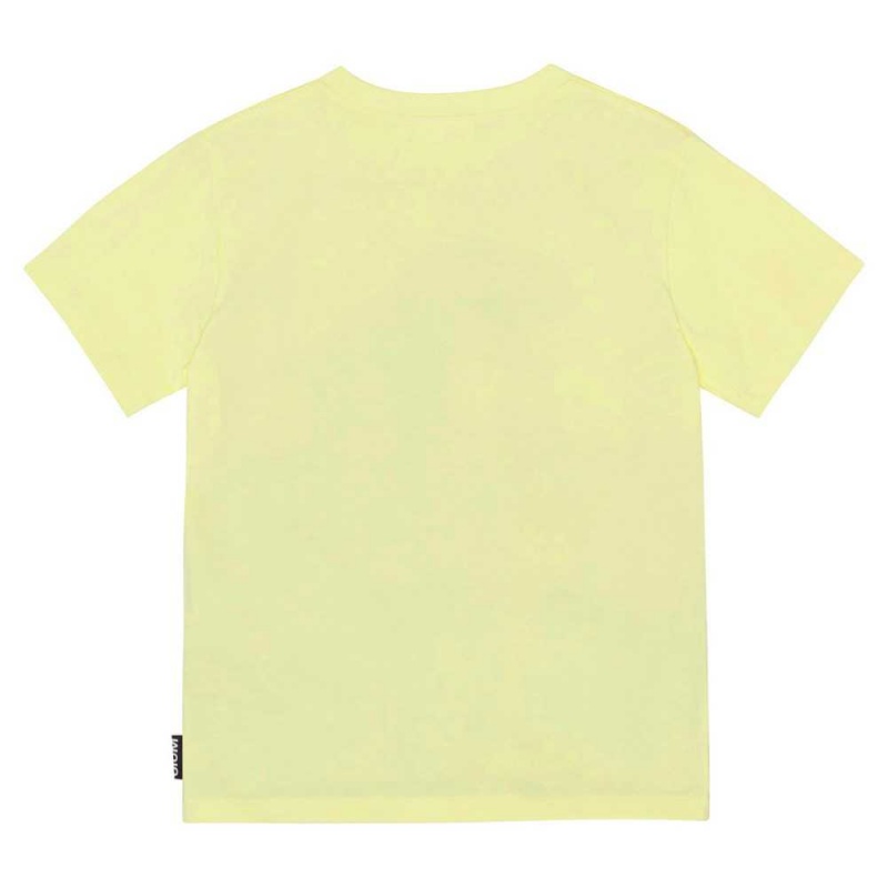 Molo Riley T Shirts Tops Jungen Volcano Dino | CH0000808