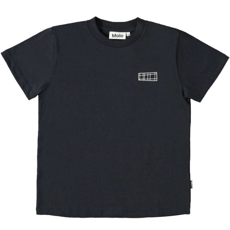 Molo Roxo 2-pack T Shirts Tops Jungen Navy Grey | CH0000870