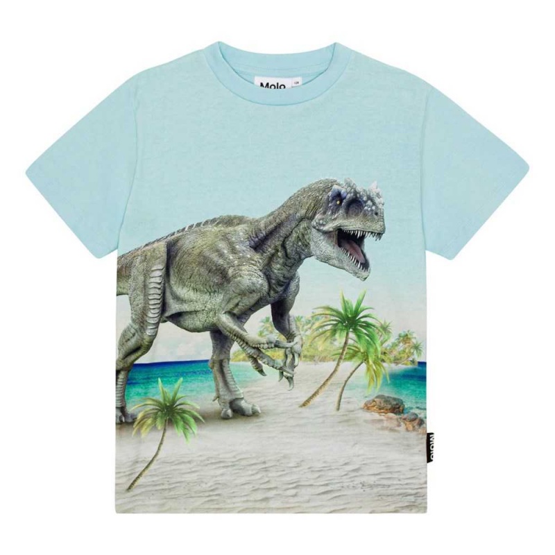 Molo Roxo T Shirts Tops Jungen Beach Dino | CH0000809