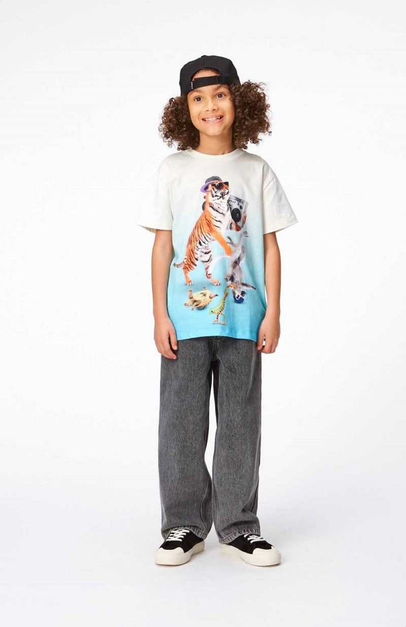 Molo Roxo T Shirts Tops Jungen Dance Animals | CH0000854