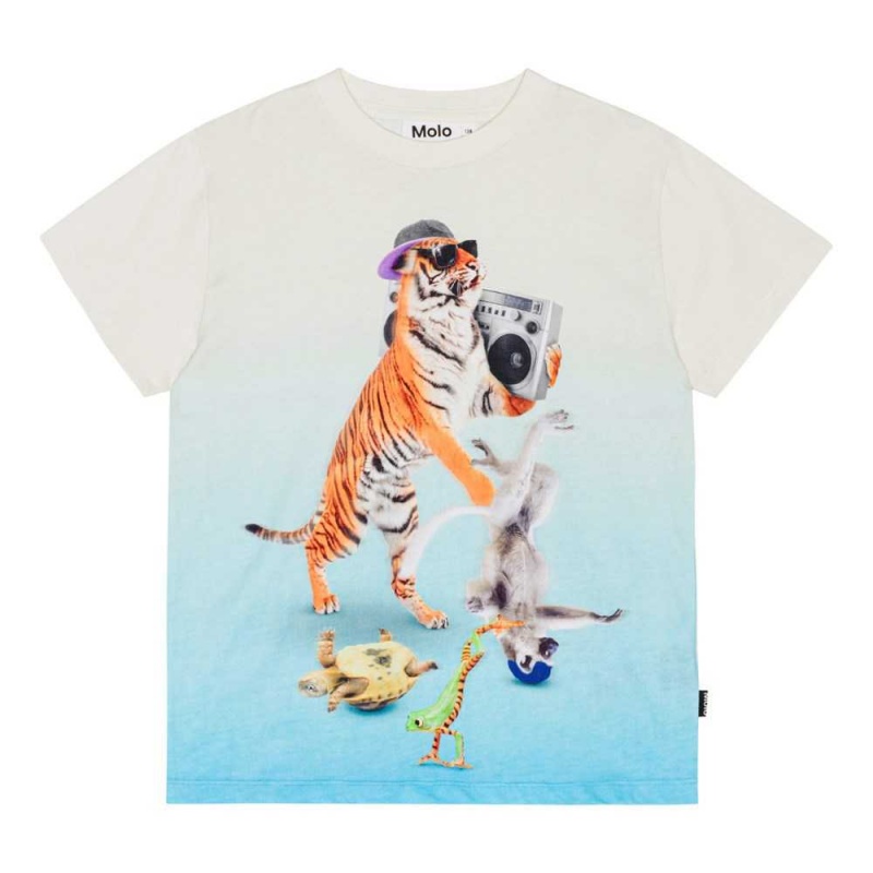 Molo Roxo T Shirts Tops Jungen Dance Animals | CH0000854