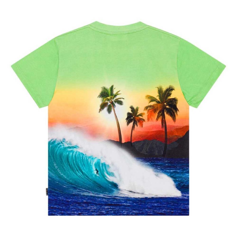 Molo Roxo T Shirts Tops Jungen Green Sunset | CH0000771