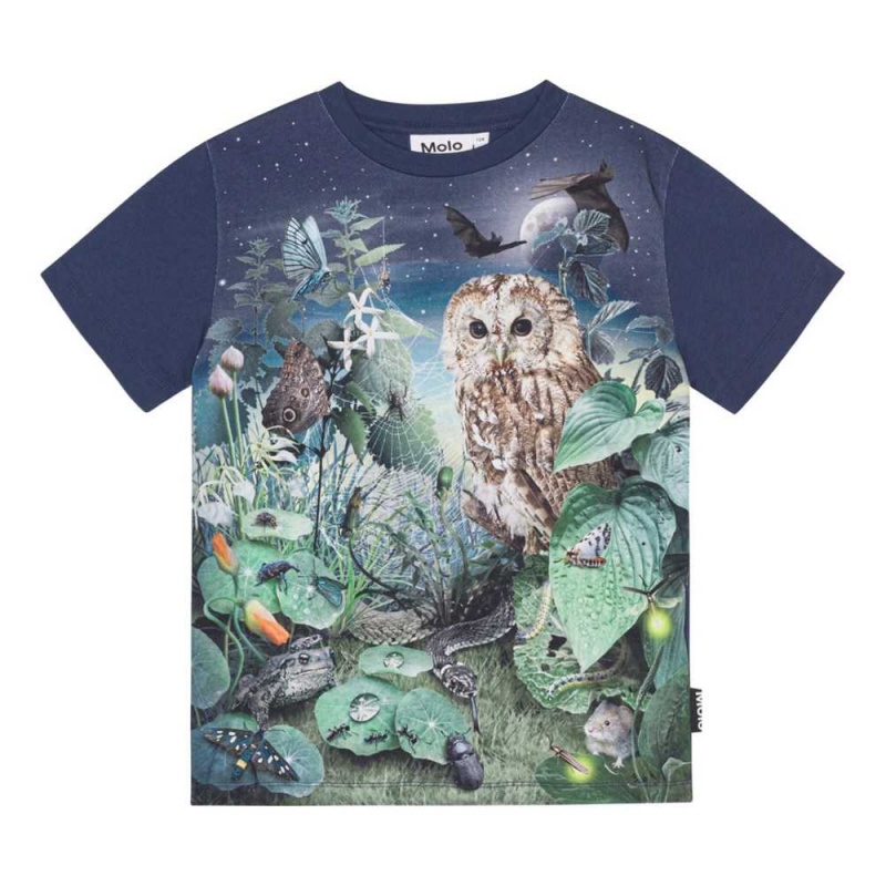 Molo Roxo T Shirts Tops Jungen Night Garden | CH0000826