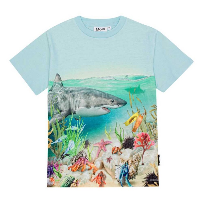 Molo Roxo T Shirts Tops Jungen Shore Life | CH0000789