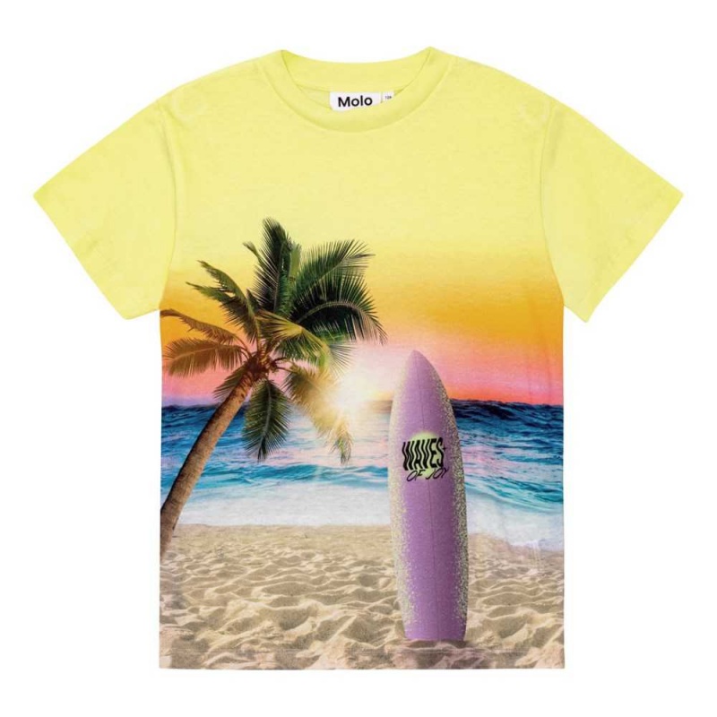 Molo Roxo T Shirts Tops Jungen Sunset Surf | CH0000776