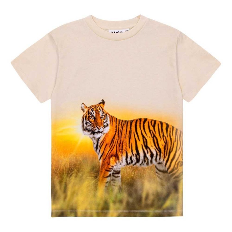 Molo Roxo T Shirts Tops Jungen Tiger Sand | CH0000855