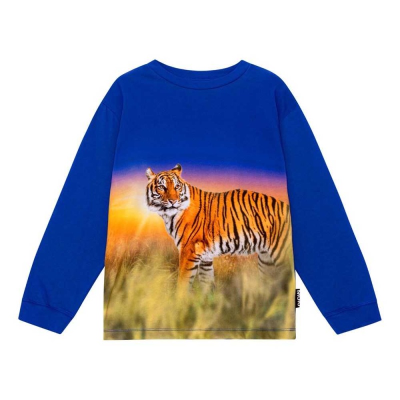 Molo Rube T Shirts Tops Jungen Tiger Reef | CH0000856