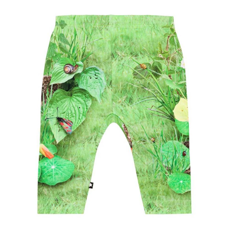 Molo Sabb Pants Jeans Jungen Garden Nature | CH0001344