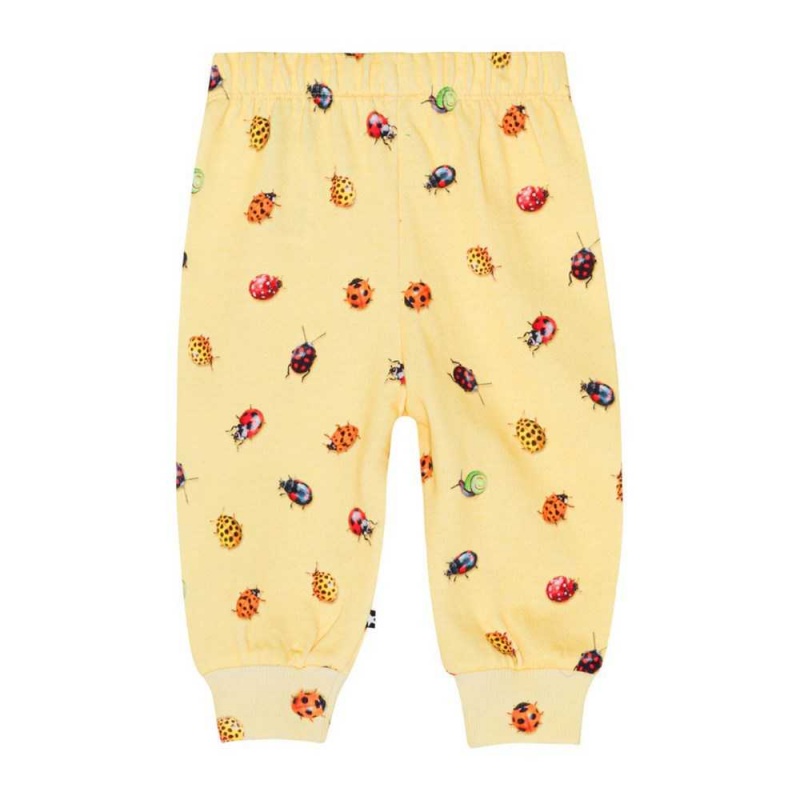 Molo Simeon Pants Jeans Jungen Coccinella | CH0001335