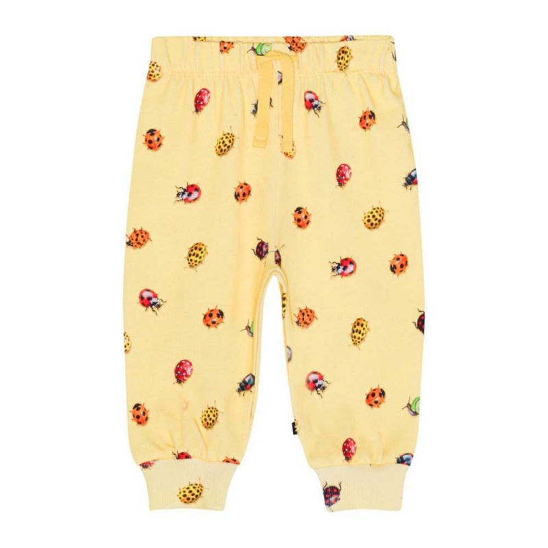 Molo Simeon Pants Jeans Jungen Coccinella | CH0001335