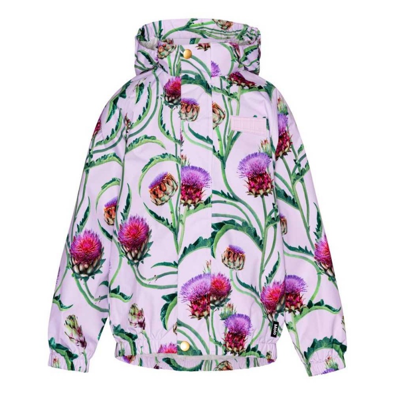 Molo Waiton Regenkleidung Artichoke Bloom | CH0000061