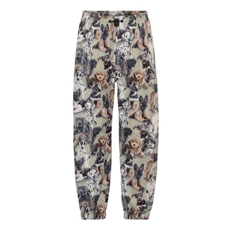 Molo Waits Regenkleidung Pups Camo | CH0000096