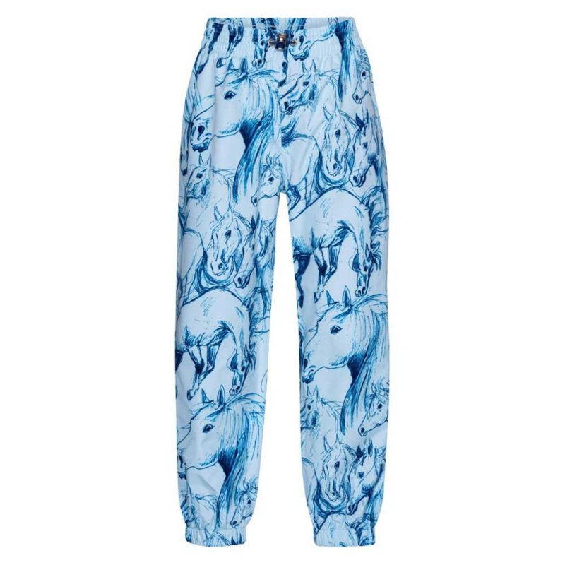 Molo Waits Regenkleidung Sky Blue Horses | CH0000068